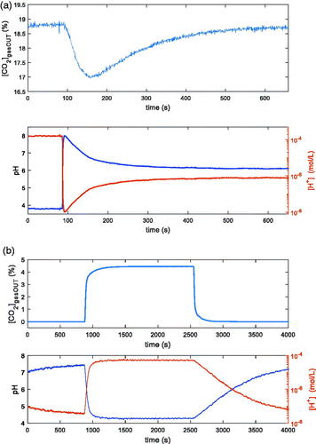 Figure 3. Examples of transients induced in two different ways in the reactor described in Sec. II.1, containing 100 ml of distilled water and kept at T = 25 °C. In both pictures the upper plot is the measured CO2 concentration at the output of the reactor vs. time, whereas the lower plot is the pH measurement inside the reactor vs. time. (a): 200 ml total flow (80 % N2 + 20% CO2); 1 ml of tris-hydroxymethyl-aminomethane 10 mMol injected @ t = 80 s. (b): 200 ml total flow: N2 (14 min), N2 and 5% CO2 (25 min), N2 (25 min).