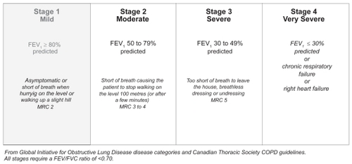 Figure 1 COPD Severity Classification Scheme Copyright © 2007. Reproduced with permission from CitationO’Donnell DE, Aaron S, Bourbeau J, et al 2007. Canadian Thoracic Society recommendations for management of chronic obstructive pulmonary disease – 2007 update. Can Respir J, 14(Suppl B):5B–32B.