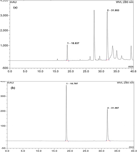 Figure 2. HPLC Chromatograms of ASGC (a) and standard solutions of two references (b) including GA (1) and 5GG (2).