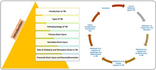 Figure 1 Diagram, showing the overall contents of the manuscript covering the introduction and the contents related to melatonin.