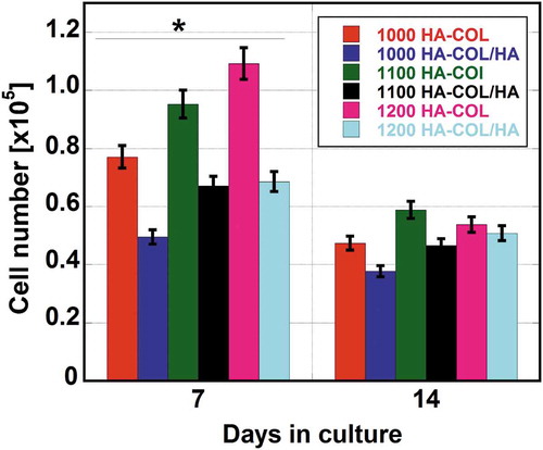 Figure 11. The Proliferation of hMSCs in fabricated HAp-COL and HAp-COL/HAp composite scaffolds at 50% compressive rate and sintering at 1000, 1100, and 1200°C up to 14 days of culture. Each data represent mean ± SD, n = 6, *p < 0.05.