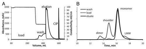 Figure 7. (A) Representative fast protein liquid chromatography chromatogram for the purification of mAb-X on GE Butyl Sepharose HP resin. The A280 is solid and the conductivity is a dashed line. (B) Representative SE-HPLC chromatograms from fractions from the GE Butyl Sepharose HP purification of mAb-X. The three chromatograms are scaled for effect: load (dots), wash fraction (long dashes), and eluate (solid).