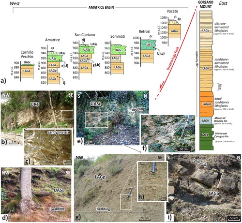 Figure 3. (a) Selected stratigraphic logs and (b)-(i) field exposures used for reconstructing the general stratigraphy; (b–c) Retrosi Unit (URT): clast-supported conglomerates and gravels; (d) Amatrice-Sommati Unit, sandy member (UASs): yellowish massive-to-slightly bedded sands with silty matrix; (e–f) Amatrice-Sommati Unit, conglomeratic member (UASc): tabular conglomerates and gravels; (g–h) Laga Formation, siltstone-dominated lithofacies (LAGp): well bedded, centimetre-to-decimetre-thick planar beds of beige siltstone; (i) Laga Formation, sandstone-dominated lithofacies (LAGa): massive tabular and lenticular beds of grey to brown, medium-sized sandstone.