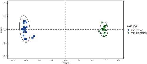 Figure 3. NMDS plot obtained from 22 morphological characters recorded from 37 Haastia pulvinaris specimens. Specimens are coloured by the variety that they were assigned to prior to statistical analysis. 95% confidence ellipses are drawn for both varieties.