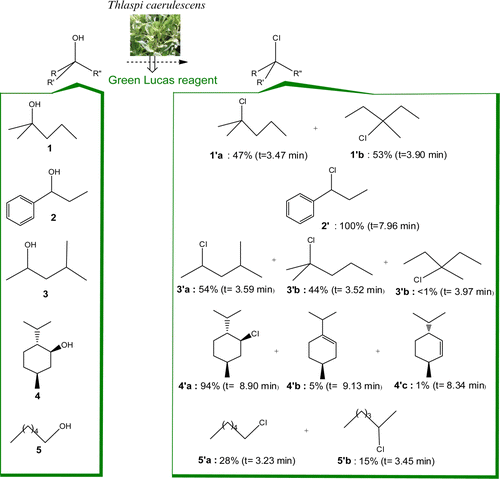 Figure 2.  Chlorination of alcohol with green Lucas reagent derived from T. caerulescens.