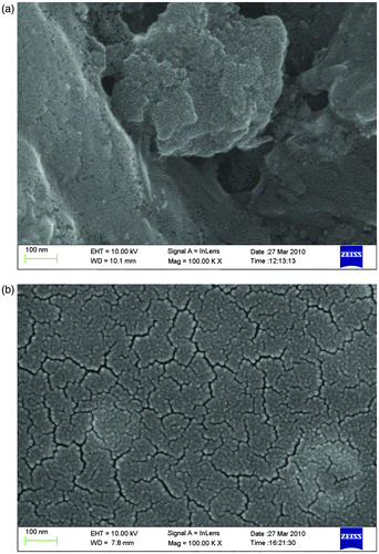 Figure 1. FE–SEM images for TiO2 samples: (a) pure TiO2 film and (b) B3+ and F− co-doped TiO2 film.
