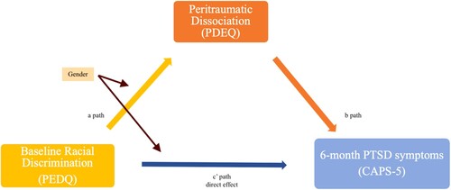 Figure 2. PROCESS Model 8 moderated mediation analysis.