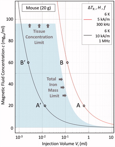 Figure 3. Illustrative bioheat model calculations in the steady-state, zero perfusion, zero metabolic heat generation limit, for a 20 g mouse, as per EquationEquation (10)(9) , under the same material conditions as in Figure 2, viz. ILP = 3.0 nHm2/kgFe, v = Vd/Vi = 2.4, and λ2 = 0.52 W/Km. The solid lines are ΔTR = 6 K isotherms, indicating the thresholds for therapeutic hyperthermia. The shaded region demarcates the murine “acceptable dose region”, as determined from both the material loading capacities of the local tissue, viz. 40 mgFe/mltissue, and of the mouse as a whole, viz. 3.5 mgFe. The latter value is derived, as per EquationEquation (6)(6) , assuming a “good” agent formulation scenario of relatively high retention ( = 0.85) and systemic tolerance ( = 0.85). The red line, corresponding to H = 5 kA/m and f = 300 kHz (the same conditions as in Figure 2), lies outside the acceptable dose region, and as such is inaccessible. The black line, corresponding to H = 10 kA/m and f = 1 MHz, lies within the acceptable dose region, as therefore is accessible. The points A, A′, B and B′ are discussed in the text.