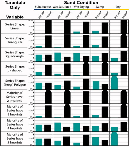 Figure 14. Experimental tarantula trackway trends for series shape and number of imprints per series, split by five sand conditions (all slopes included in each of the five conditions, so variability due to slope is accounted for). Shown are the percentages of analyzed trackway segments (ATS) in a condition that are present and absent. Tapering added to bars near 100% for visual clarity.