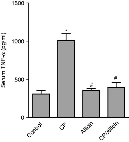 Figure 2. Effect of cyclophosphamide (CP,150 mg/kg) and/or allicin (50 mg/kg) on serum TNF-α. *Significantly different from the corresponding mean value of the negative control group (p < 0.05). #Significantly different from the corresponding mean value of the CP-treated group (p < 0.05). Statistical comparisons were performed using One-Way ANOVA followed by the Tukey–Kramer multiple comparisons test (p < 0.05).