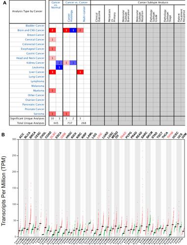 Figure 1 Expression profiles of PIGC mRNA in human malignant tumors. (A) Oncomine database, (B) GEPIA website.