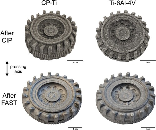 Figure 5. Photographs of CP-Ti and Ti-6Al-4V CIP-FAST parts before and after FAST processing at 980°C for 10 min.