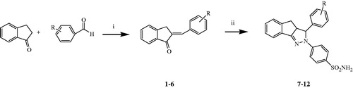 Scheme 1. 4–(3-(4-substitutedphenyl)-3a,4-dihydro-3H-indeno[1,2-c]pyrazol-2-yl) benzenesulfonamide 7–12. (i) aq. NaOH 10%, EtOH, r.t, 12 h; (ii) 4-hydrazinobenzensulfonamide hydrochloride, EtOH, 100 °C, 200 Watt, 3-7 barr, 10'-120'. R: H (1, 7), 4-OCH3 (2, 8), 2-OCH3 (3, 9), 3,4,5-(OCH3)3 (4, 10), 4-F (5, 11), 4-OH (6, 12).