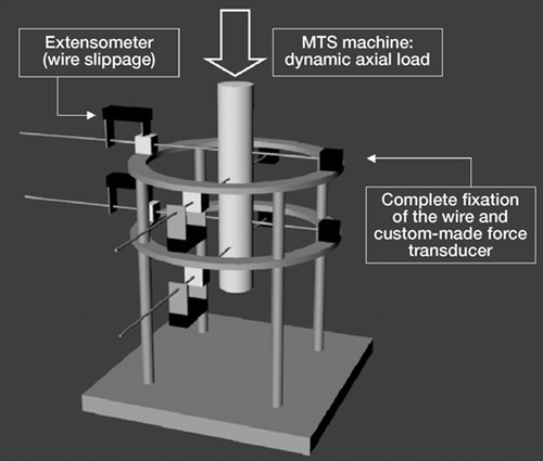 Figure 1. Overview of the experimental set-up. The black and white blocks attached to the rings represent the fixation clamps and the cannulated bolts, respectively.