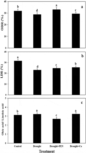 Figure 5. Impact of PEG, PEN, and Ca on ODR (A), LDR (B), and OLR (C) in canola seed. Columns indicate mean ± SE based on three replicates. Means with different letters for each cultivar indicate a significant difference at P < 0.05 using Duncan multiple range test.
