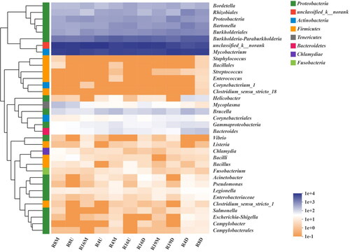 Figure 5. The community heatmap showing the normalized relative abundance of waterborne potential pathogens at the genus level.