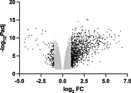 Figure 2. Volcano plot of differentially expressed genes following H2O2 treatment. The black dots are DEG with |log2FC| >1 and the grey dots are DEG with –1 ≤ log2FC ≤ 1. The list of DEG is in Table S2, Supplementary Material.