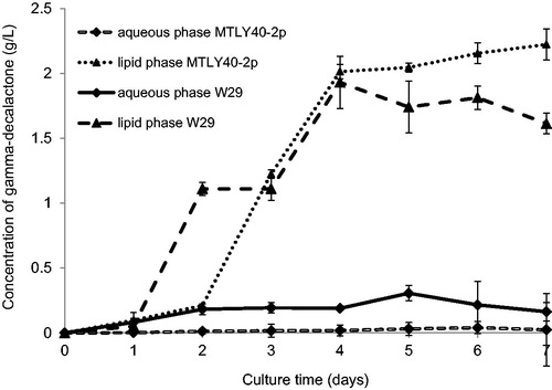 Figure 3. Accumulation of γ-decalactone in aqueous (♦) and lipid (▲) phase during growth of Yarrowia lipolytica W29 and MTLY40-2p strains in bioreactor.