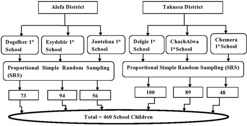 Figure 2 Diagrammatic presentation of study participant selection.