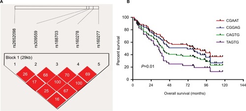 Figure 1 Association of VCAN SNP haplotypes with OS of patients with resected early-stage HBV-associated HCC.Notes: (A) Patterns of LD plot for 5 selected VCAN SNPs. The value within each diamond represents the pairwise LD (correlation, measured as r2 values) between these 5 SNPs defined by the upper left and the upper right sides of the diamond. One block was identified based on the LD patterns. (B) Kaplan–Meier curves of OS stratified by haplotype (TAGTG) and other haplotypes in patients with resected early-stage HBV-associated HCC.Abbreviations: HBV-associated HCC, hepatitis B virus-associated hepatocellular carcinoma; LD, linkage disequilibrium; OS, overall survival; SNP, single nucleotide polymorphism; VCAN, versican.