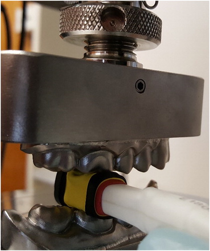 Figure 1. Bite force transducer in calibration jig on the universal testing machine.