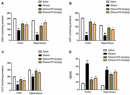 Figure 5 Pretreatment with compounds P8 and P9 significantly improved the GSH (A), GST (B), and CAT (C) antioxidant enzymes in treated groups while the TBARS levels (D) were reduced. Symbols ##Or **Shows significant difference p < 0.01, while #Or *Shows significant difference p < 0.05. #Shows significant difference relative to control while *Shows significant difference from disease group (ethanol-treated). All data were analyzed by one-way ANOVA followed by a post hoc Bonferroni multiple comparison test. Data were presented as means ± SEM.