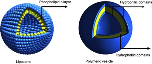 Figure 1 Morphological structures of liposome and polymeric nanovesicle.