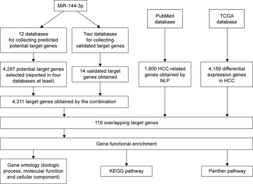 Figure 7 The flowchart of the gene functional enrichment.