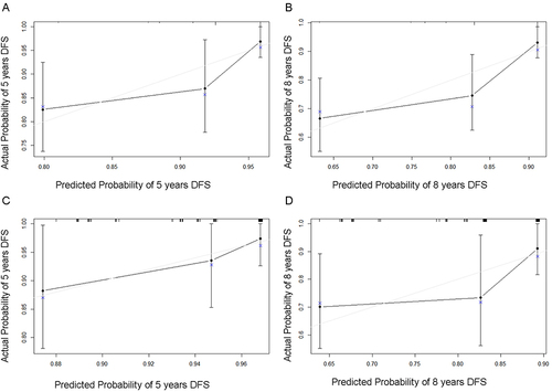 Figure 3 Calibration curves for predicting the DFS for patients with HR+ HER2- breast cancer in the training group at (A) 5 years and (B) 8 years and in the validation group at (C) 5 years and (D) 8 years. Nomogram-predicted probability is plotted on the x-axis and the actual survival is plotted on the y-axis.