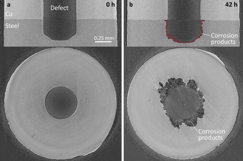 Figure 5. Synchrotron micro-CT vertical and horizontal image slices of the electrodeposited Cu/steel interface after exposure to O2-sparged 3 mol L−1 NaCl solution for 0 h (a) and 42 h (b). The accumulated corrosion products are highlighted in the 42 h vertical image slice.