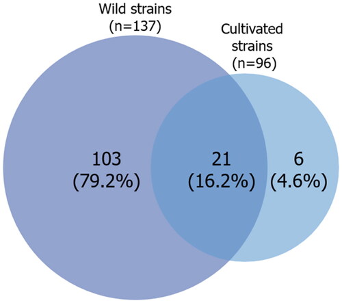 Figure 1. Venn diagram showing unique and common A mating type alleles in wild and cultivated strains of Lentinula edodes. The number and percentage of unique and common alleles are indicated in the circles. All alleles identified in this study and a previous study [Citation14] were included in the analysis.