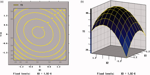 Figure 4. Contour plots and response surface of xylo-oligosaccharides (X1) and arginine (X2) for the survival rate of BB01 (Y1).