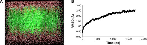 Figure 1 MD simulation of NorA efflux pump.