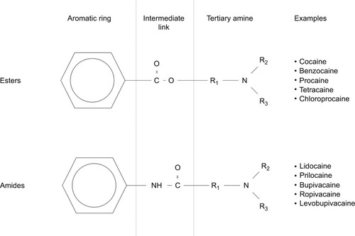 Figure 1 Chemical structures of ester and amide local anesthetic agents with examples of each.