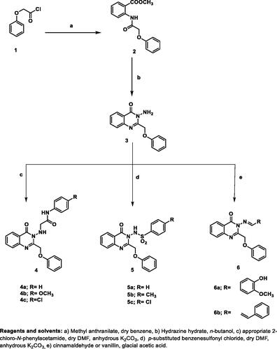 Scheme 1. Preparation of the key starting compound 3 and the target compounds 4a–c, 5a–c, and 6a,b. Reagents and solvents: (a) Methyl anthranilate, dry benzene, (b) Hydrazine hydrate, n-butanol, (c) appropriate 2-chloro-N-phenylacetamide, dry DMF, anhydrous K2CO3, (d) p-substituted benzenesulfonyl chloride, dry DMF, anhydrous K2CO3, (e) cinnamaldehyde or vanillin, glacial acetic acid.