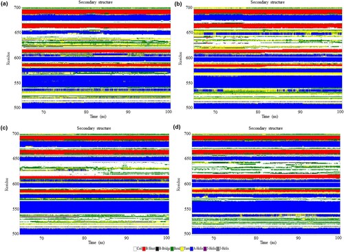 Figure 4. (Colour online) The secondary structure elements between the residues 500–700 of NLRC4 in the resting and activated state during 65–100 ns of simulation based on DSSP classification. (a) Wild-type structure in the resting state. (b) Mutant structure in the resting state. (c) Wild-type structure in the activated state. (d) Mutant structure in the activated state.