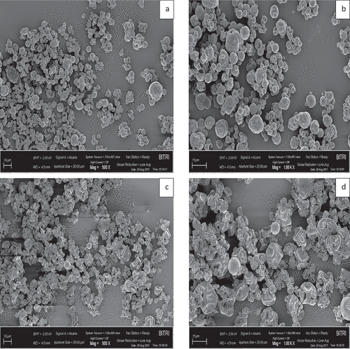 Figure 4. The scanning electron microscopy (SEM) images of skimmed camel milk powder processed at 140°C, at; A) 500X magnification and B) 1000X magnification and skimmed cow milk powder processed at 140°C, at; C) 500X magnification and D) 1000X magnification