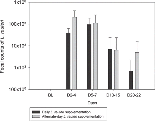 Fig. 1 Fecal counts of L. reuteri during and after supplementation. This bar graph contains the L. reuteri counts at baseline and on study days 2–4, 5–7, 13–15, and 20–22 in response to consecutive-day and alternate-day feedings.