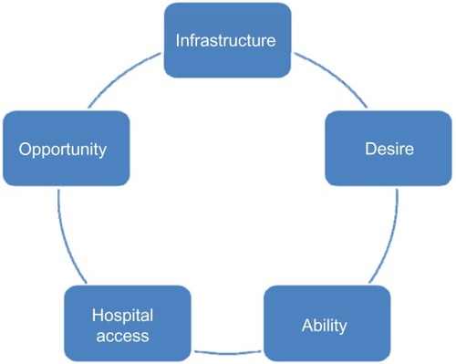 Figure 1 The IDAHO criteria.