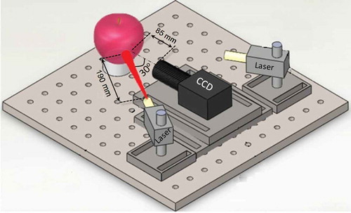 Figure 1. Schematic of biospeckle imaging setup.