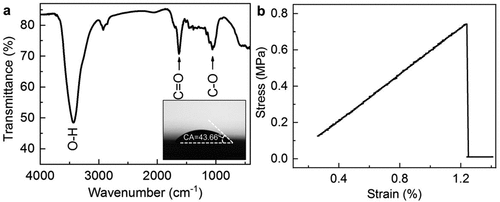 Figure 3. (a) Fourier transform infrared spectroscopy analysis of the cellulose membrane. Inset: measured contact angle (CA = 43.66°) of the membrane. (b) Stress-strain curve of a dry cellulose membrane