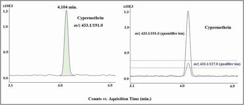 Figure 3. Selected reaction monitoring (SRM) chromatogram obtained from a honey sample from Spain contaminated with cypermethrin at 102 µg kg−1.Figura 3. Cromatograma del monitoreo de reacciones seleccionadas (SRM) obtenido de una muestra de miel de España contaminada con cipermetrina a 102 µg kg−1