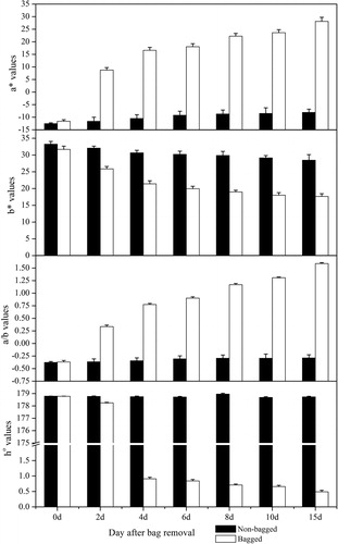 Figure 3. Changes in the chromaticity values of ‘Granny Smith’ apples after bag removal.Note: The data are mean values from five independent measurements, and the error bars represent standard errors of the means.