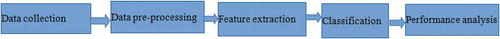 Figure 1. Workflow of the proposed model