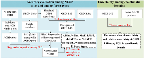 Figure 2. Flowchart of methodology of GEDI L4A accuracy evaluation and uncertainty estimation.