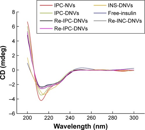 Figure 3 CD spectra of insulin entrapped in nanovesicles and the released insulin.Abbreviations: CD, circular dichroism; DNVs, deformable nanovesicles; INS, insulin; IPC, insulin-phospholipid complex; NVs, conventional nanovesicles.