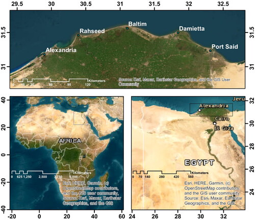 Figure 1. Study region in the Northern Shore of Egypt.