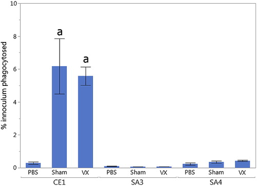 Figure 3. Compared to no-serum (PBS) control, significantly increased antibody-mediated opsonophagocytosis (a) was observed when commensal strain CE1 was incubated with serum from hens in either Vx (P = 0.0013) or Sham (P = 0.0028) groups. However, no significant differences were observed in opsonophagocytosis when pathogenic strains SA3 or SA4 were incubated with serum from hens in either Vx or Sham groups.