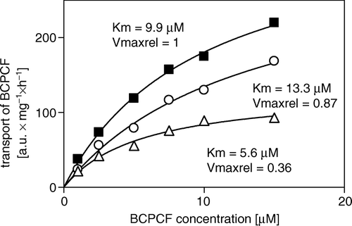 Figure 8.  Inhibition of ATP-dependent BCPCF transport into erythrocyte membrane inside-out vesicles by benzbromarone and verapamil. ATP-dependent BCPCF transport was determined from uncalibrated flow cytometric measurements at various substrate concentrations (1–15 µM) for 60 min in the absence (▪) or in the presence of 5 µM benzbromarone (○) and in the presence of 10 µM verapamil (Δ). Data were plotted from a single experiment in duplicate and the kinetic constants Km and Vmaxrel were calculated using nonlinear fitting to the hyperbolic equation. Similar results were obtained in two additional experiments done with E-IOVs preparations from the blood of the other donors. Summarized results are shown in Table II.