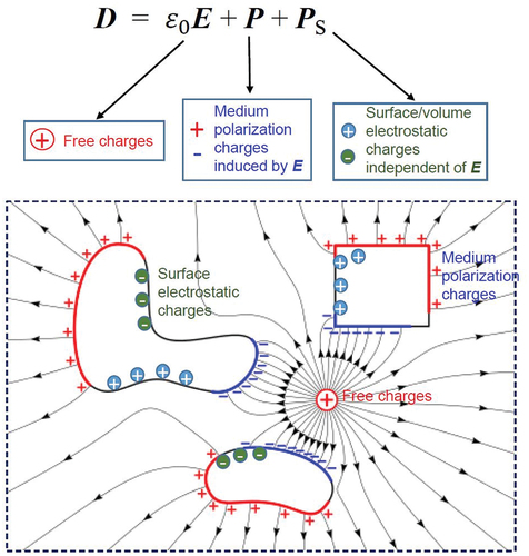 Figure 6. Schematic diagram showing the three terms in the newly defined displacement vector D, and their represented space charges in the diagram. The charge density corresponding to Ps is that from surface contact electrification effect in TENG. Reproduced with permission from Elsevier [Citation15].